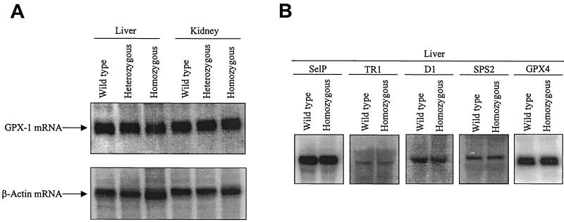 FIG. 5