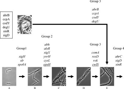 FIG. 6.