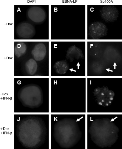 FIG. 7.