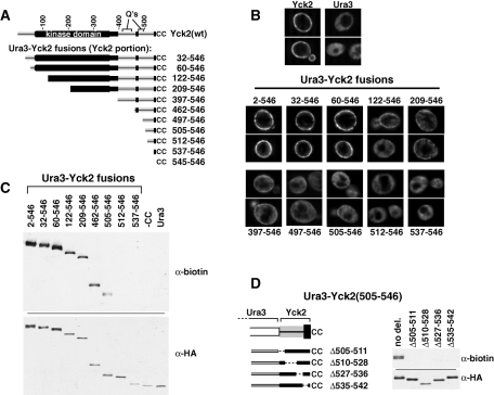 FIGURE 2: