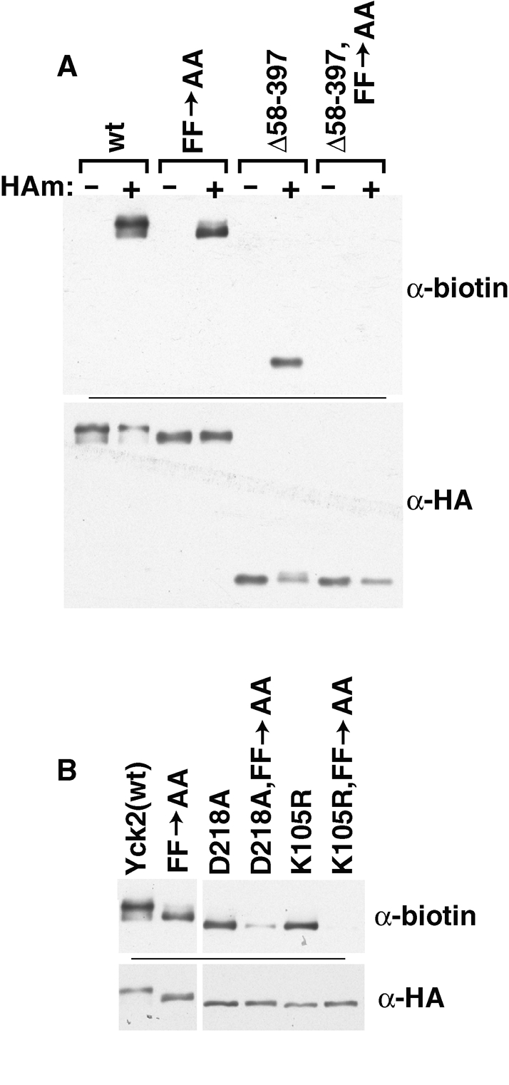 FIGURE 7: