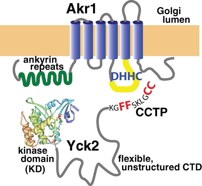 FIGURE 9: