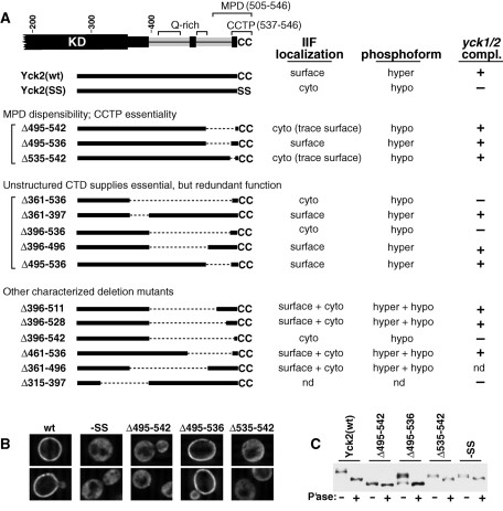 FIGURE 3: