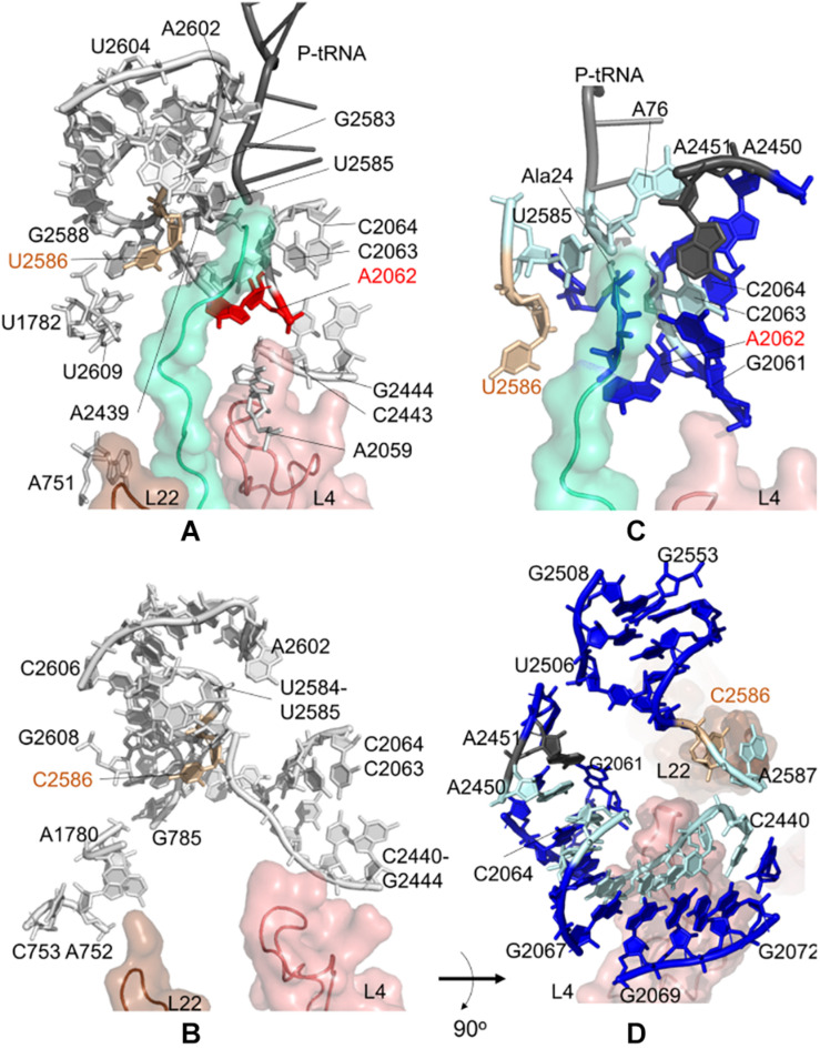 FIGURE 3