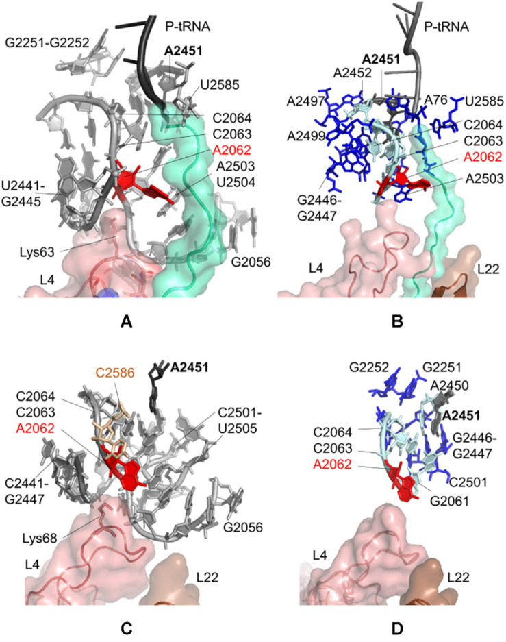 FIGURE 2