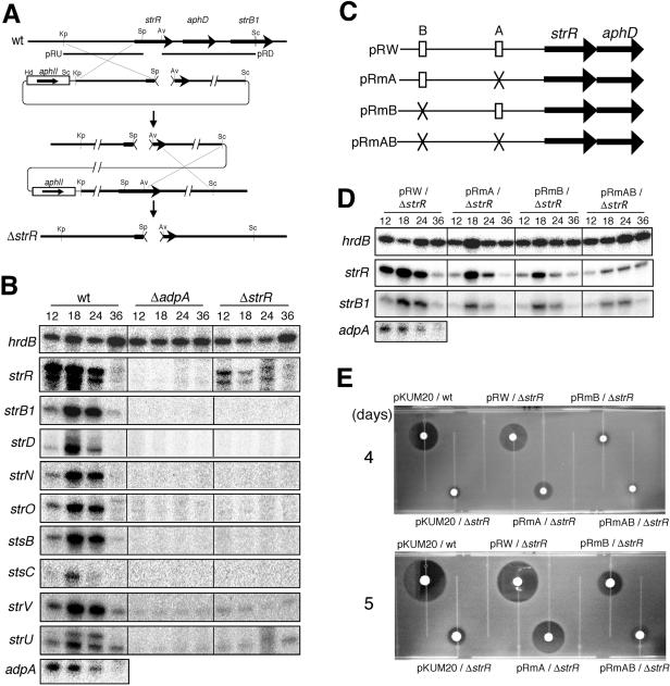 FIG. 4.