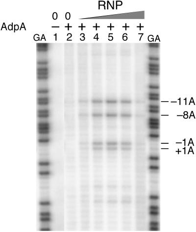 FIG. 6.