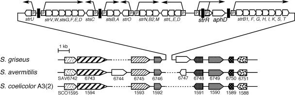 FIG. 5.