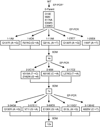 FIG. 1.