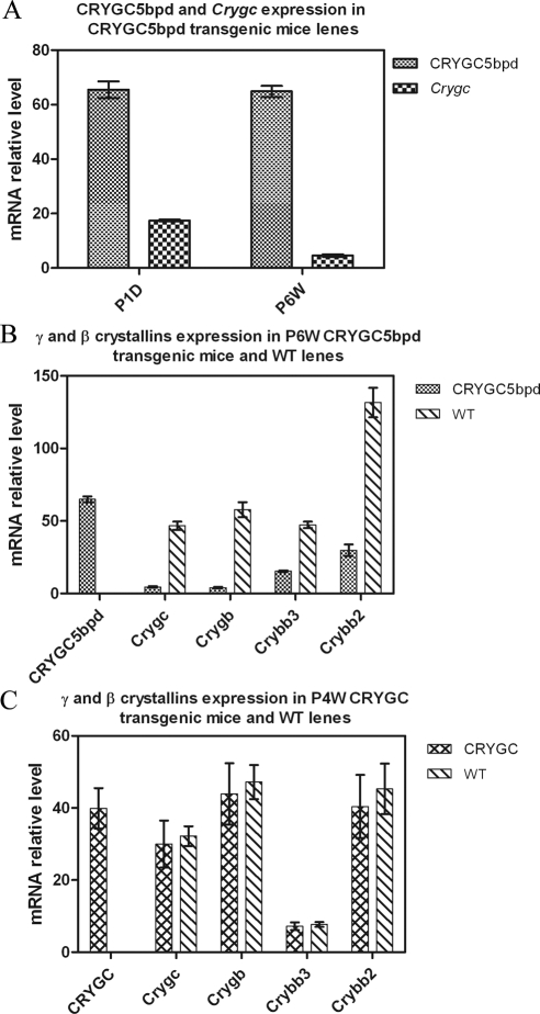 Figure 4.