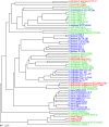 FIG 3