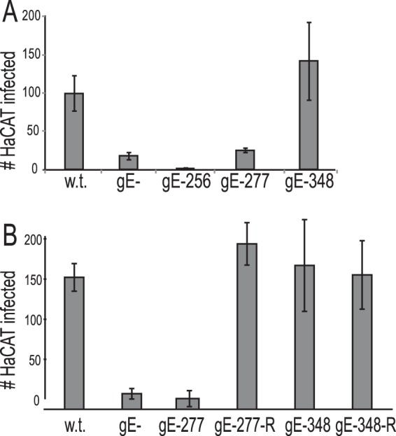 FIG 6