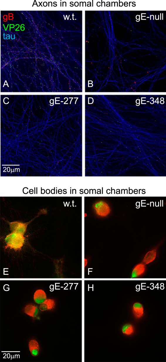 FIG 4