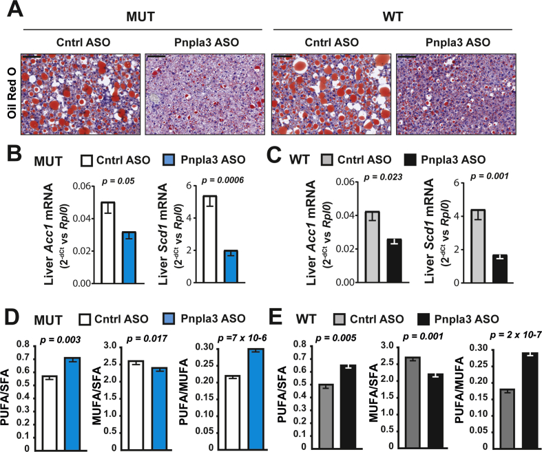 Figure 4