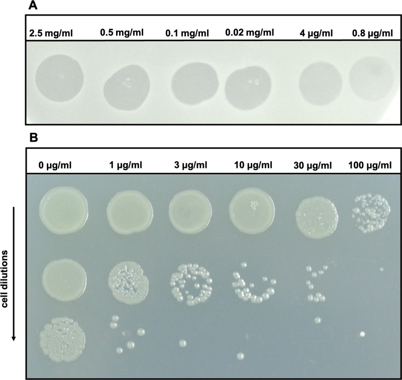 FIG 1