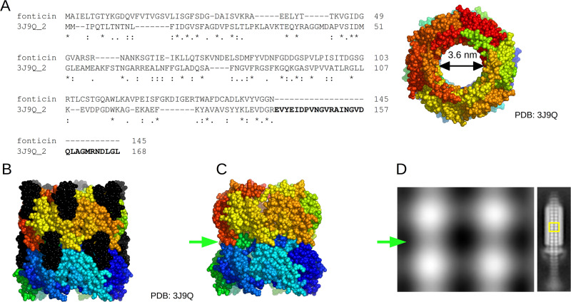 FIG 7