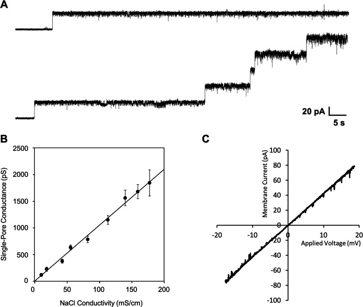 FIG 5