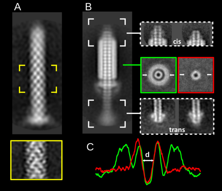 FIG 3