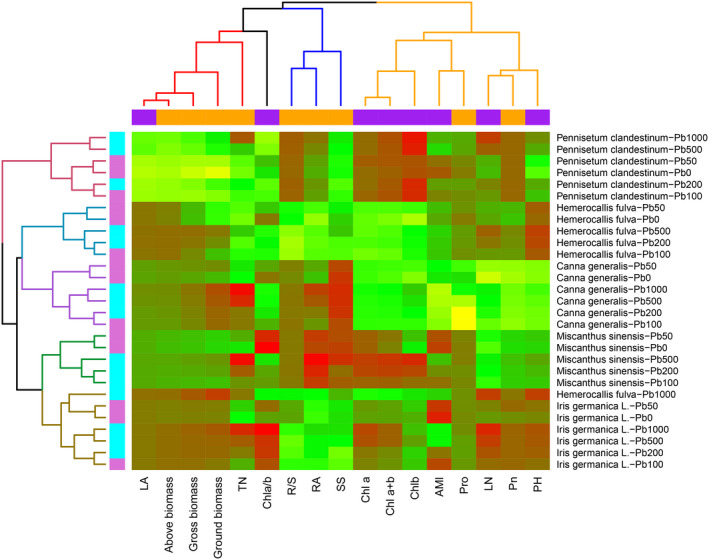 FIGURE 4