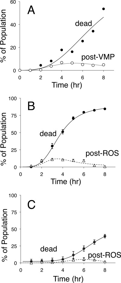 FIGURE 7.