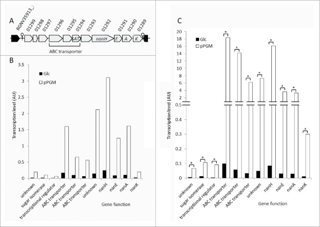 Figure 4.