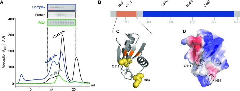 Figure 3.