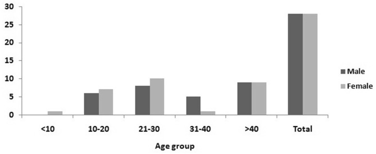 Fig. 2