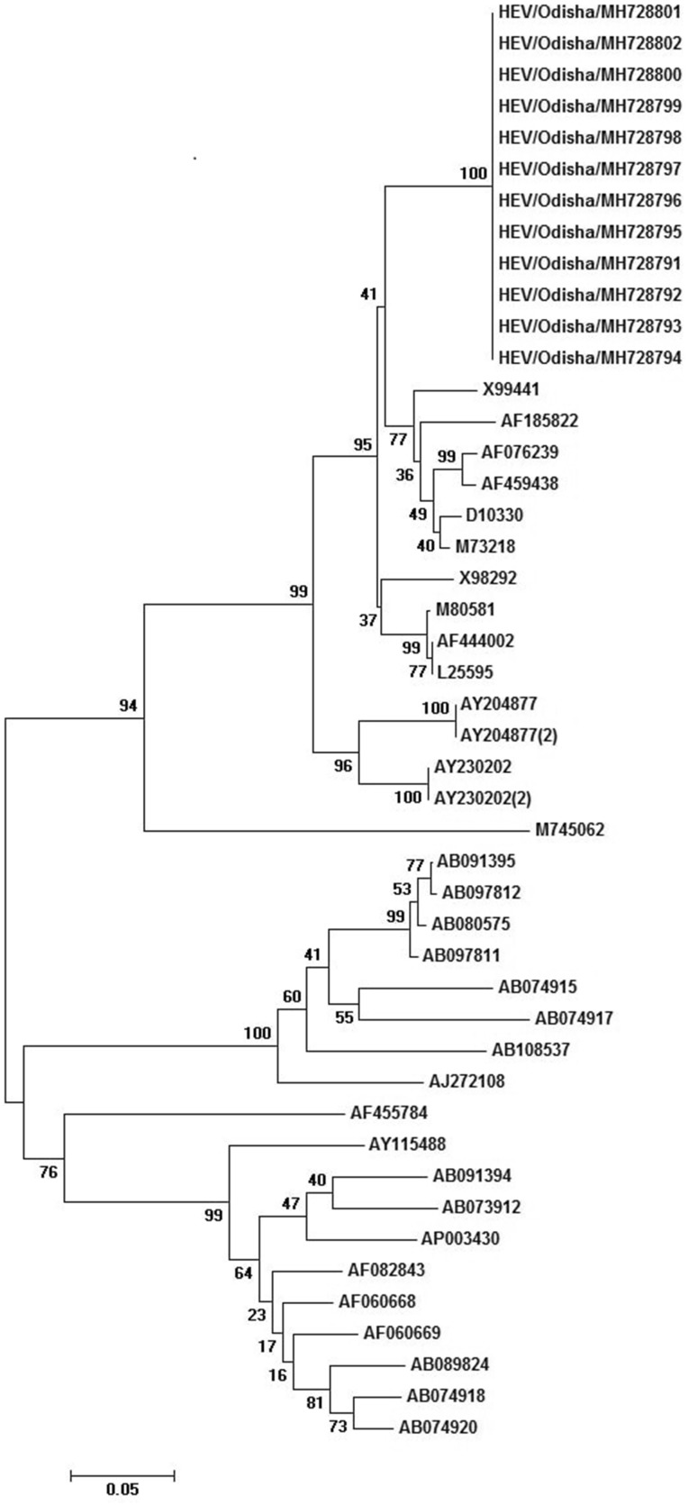 Fig. 3