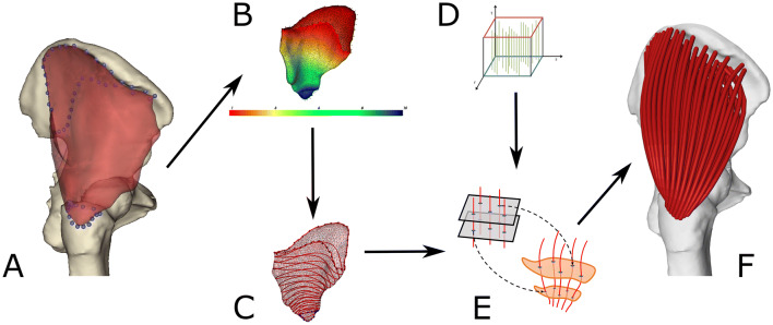 Figure 2