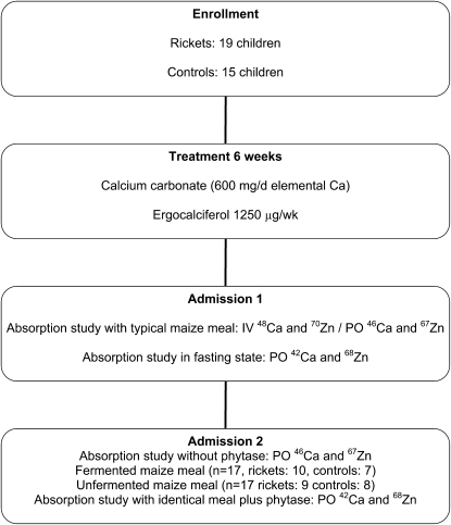 FIGURE 1 