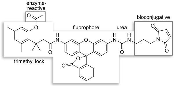 Scheme 3