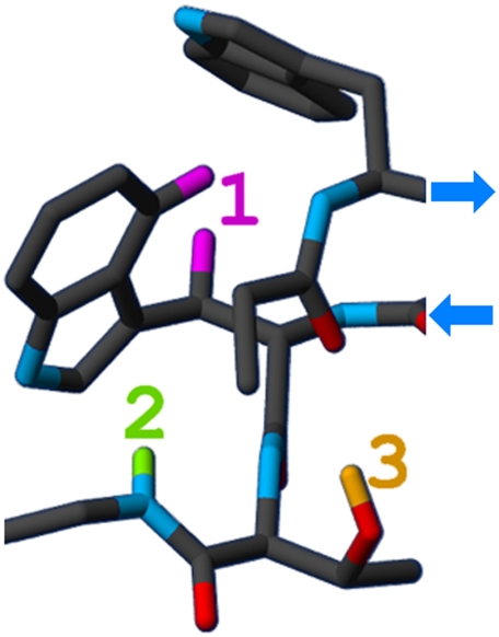 Fig. 1.