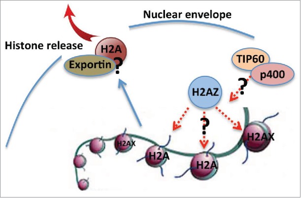 Figure 2.