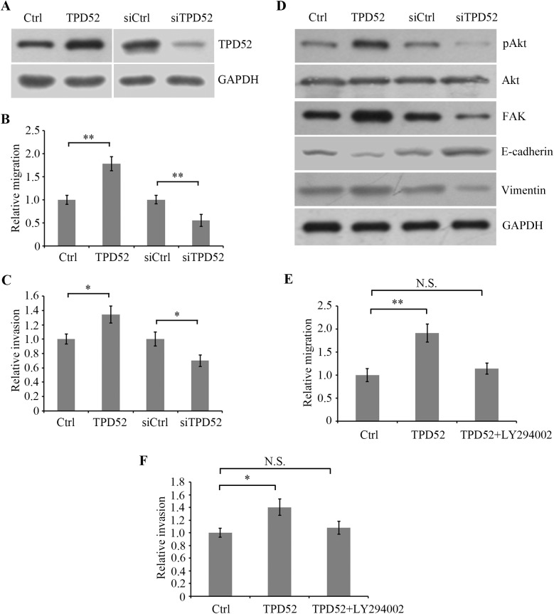 Fig 5