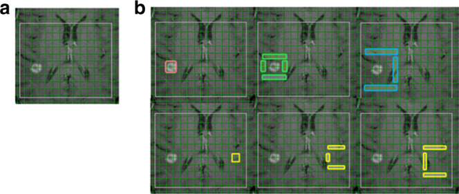 Fig. 1
