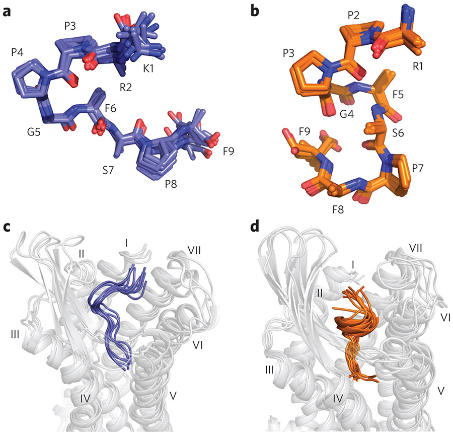 Figure 3 ∣