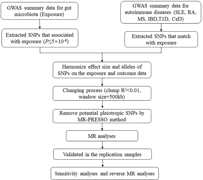 Figure 1