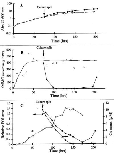 FIG. 7