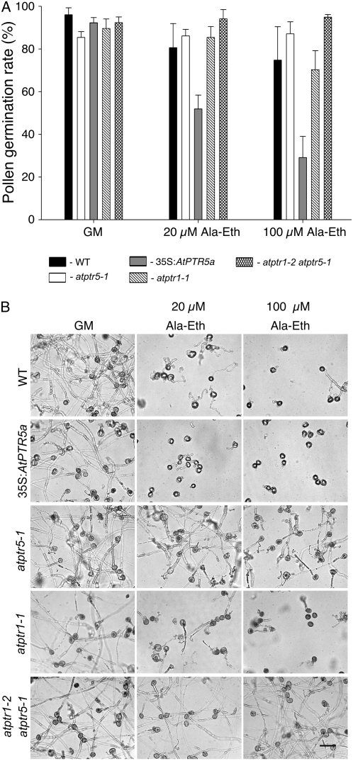 Figure 6.