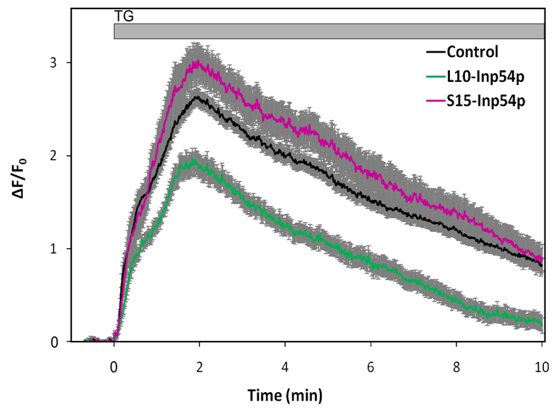 Fig. 3.