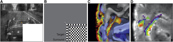 Figure 1