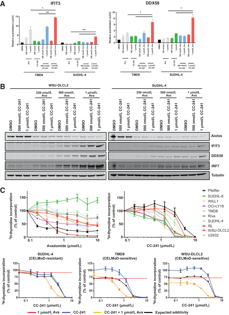 Figure 5. Targeting NuRD complex through targeting Aiolos/Ikaros and HDAC1/2 induces synergistic antiproliferative effect in DLBCL cells. A, TMD8 and SUDHL-4 DLBCL cells were treated with DMSO, avadomide (0.1–1 μmol/L), CC-241 (0.1–1 μmol/L) or a combination of both for 18 hours and gene expression was assayed for IFIT3, DDX58, and β-actin by qPCR. B, WSU-DLCL2 and SUDHL-4 GCB-DLBCL cells treated with DMSO, avadomide (0.25–1 μmol/L), CC-241 (0.5–1 μmol/L) or a combination of both for 3 days. Cell lysates were separated by SDS-PAGE and levels of Aiolos, IFIT3, DDX58, IRF7, and Tubulin were assessed. C, Top, indicated DLBCL cell lines were treated with DMSO, avadomide and CC-241 (0.01–10 μmol/L) for 5 days. Proliferation for all cell lines was determined using the (3)H-thymidine incorporation method. Results of three independent experiments are shown (mean ± SEM). Bottom, TMD8, WSU-DLCL2, and SUDHL-4 (Left to right) were treated with DMSO, CC-241 (0.01–10,000 nmol/L), avadomide (1 μmol/L) or a combination of citarinostat (CC-241) with avadomide for 5 days. Proliferation for all cell lines was determined using the (3)H-thymidine incorporation method. Results of three independent experiments are shown (mean ± SEM).