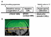 Fig. (1)