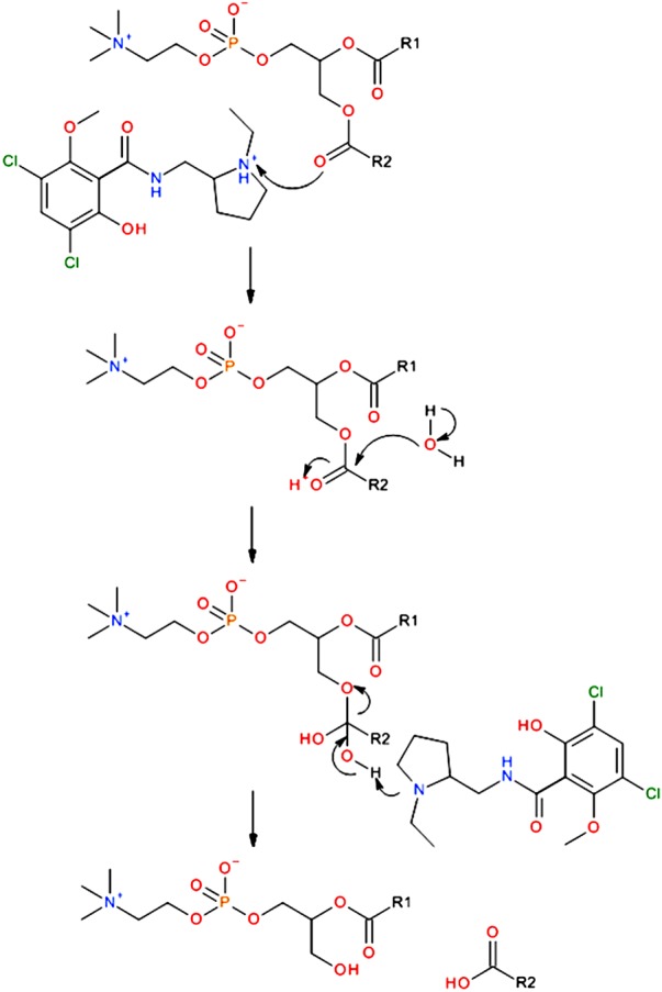 Figure 1.