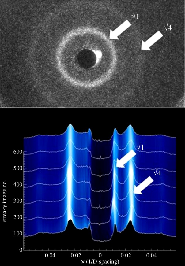 Figure 3.