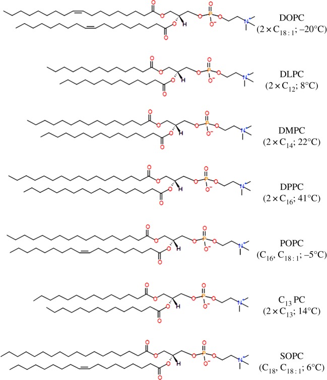 Figure 2.