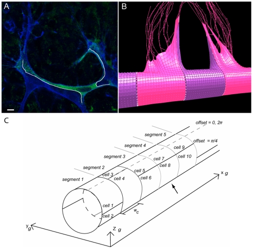 Figure 6