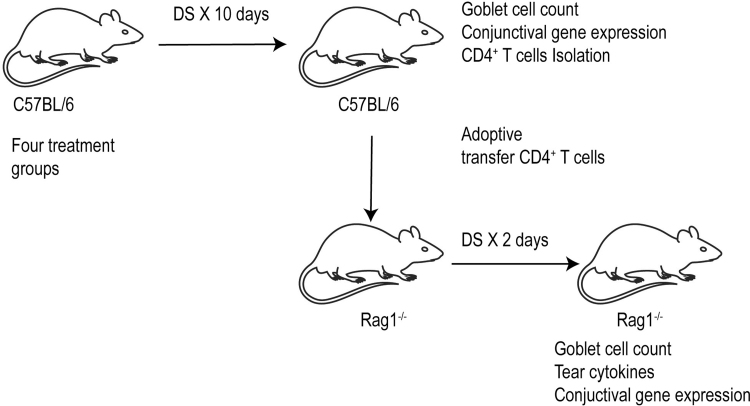 FIG. 4.