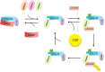 Figure 6.