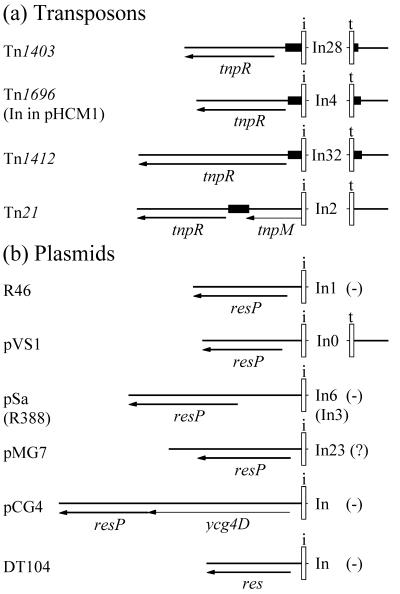 FIG. 5